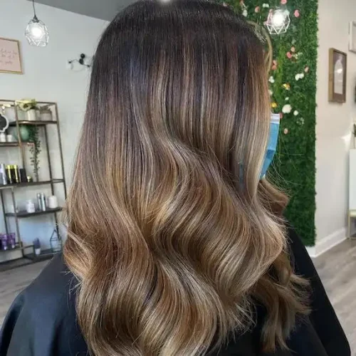 wellaprobloglightenbrownhairimage1 e1761135231263