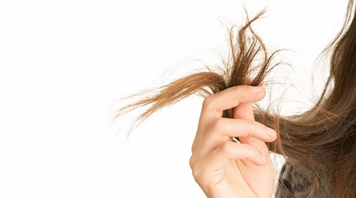 900x500 banner HK Connect Get rid of split ends with these home remedies e1765052146144