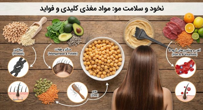 فواید نخود برای مو + (طرز استفاده از نخود برای رشد و پرپشتی مو) 1 gemini 3 pro image preview 2k nano banana pro a مواد مغذی کلیدی موجو e1766340232719