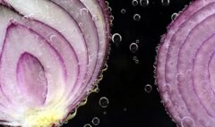 newsSocial-onions