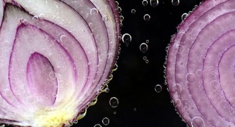 newsSocial-onions
